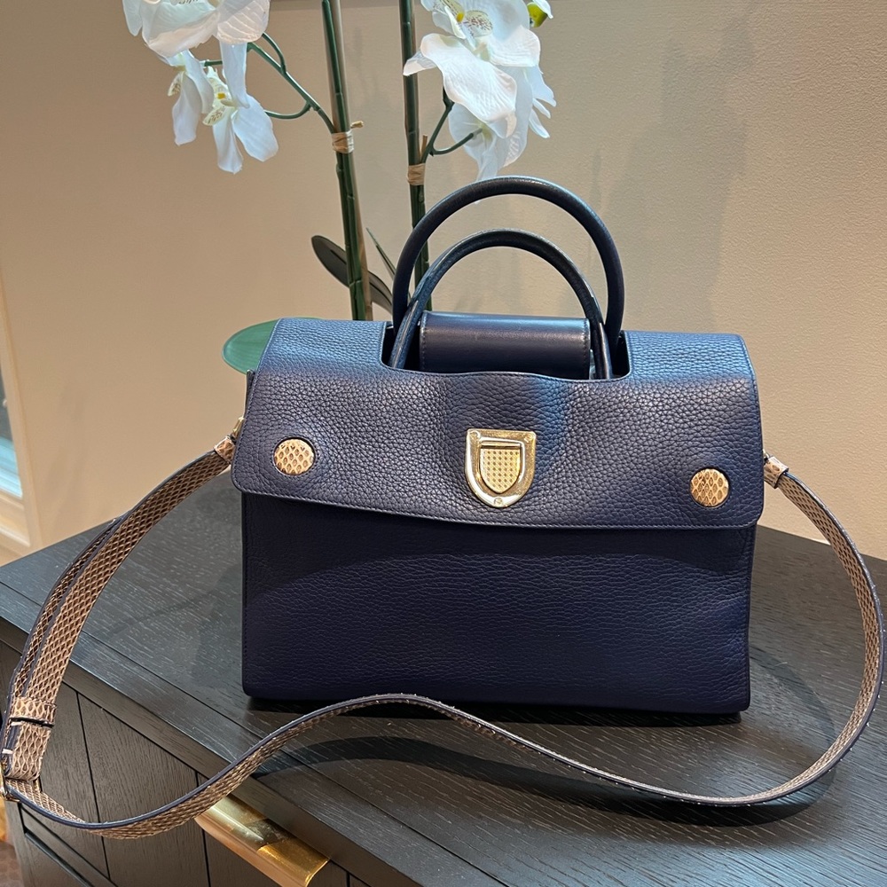 Dior Python Satchel - image 1